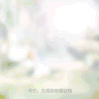 ƵŶͼ